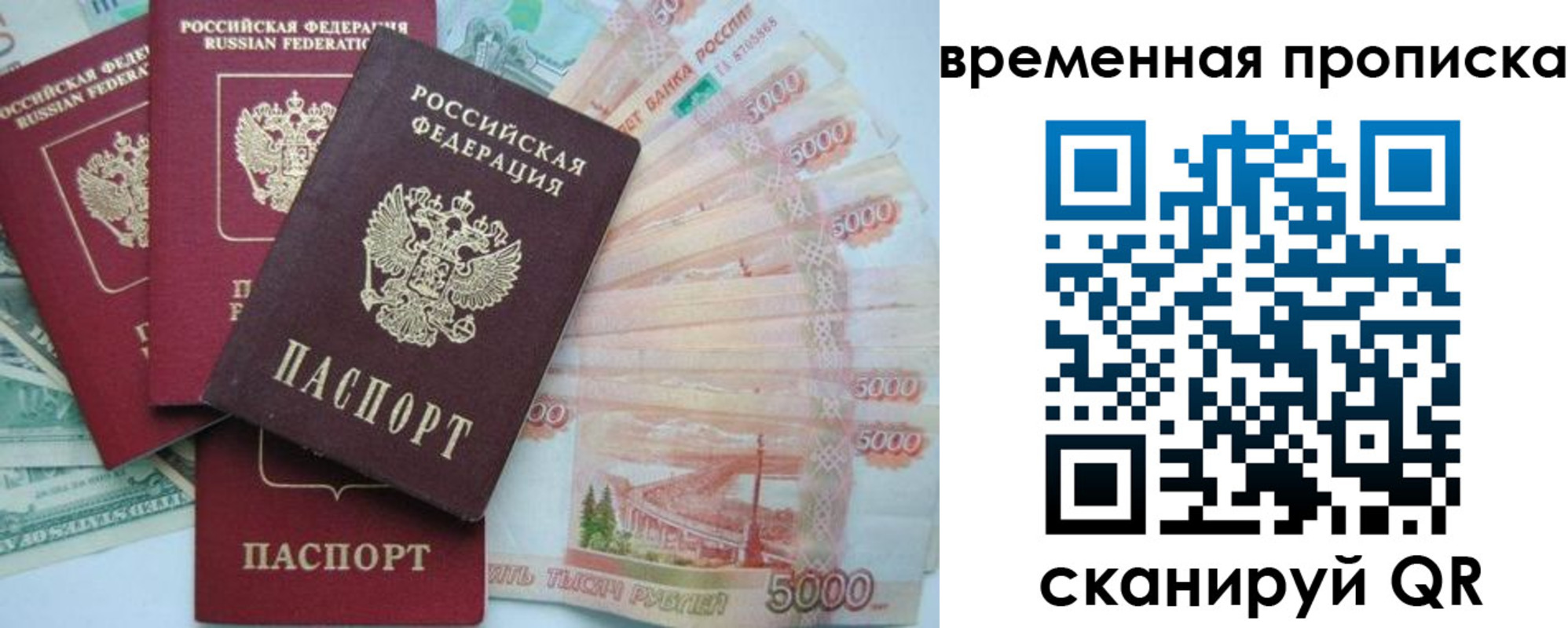временная регистрация 2025 в Балтийске